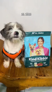 400g 2kg Dr. Shiba Kind Kibble Dr Shiba All Stages Adult Puppy Pet Dog Dogs Dry Food Healthy Coat