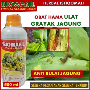 BIOWASIL 500 ML Pestisida Semprot Organik Anti Hama Ulat Grayak Jagung / Pupuk Tanaman Jagung Terbaik Anti Hama Ulat Jagung Obat Tanaman Jagung Pengendali Hama Ulat belalang Semut Kutu Putih dan Semua Jenis Hama Jagung Paling Bagus