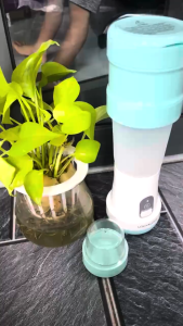 Thanh Lý Máy xay sinh tố Có Thể Gập Lại USB Lock&Lock 500ML Màu xanh Mint EJM221MIT