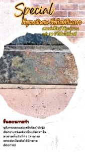 สีสร้างลายสนิม BW-02 สีทองแดงสนิมเขียว ชุดสีน้ำสไตล์วินเทจ