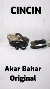 [Bayar di Tempat] Cincin Akar Bahar Pria Wanita