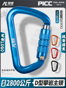 Outdoor Climbing D-Shaped Safety Hook Quick Hang Rock Climbing Equipment Professional Mountaineering Main Lock Auto Lock Thread Bearing Outdoor Safety Hanging Gear