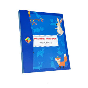 Magnetic Fraction Puzzles for Math Mastery Montessori Enlightenment with Fun Arithmetic Teaching Aid Cognitive Educational Toys