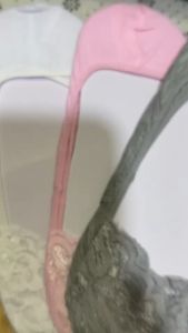 ถุงเท้า คัทชู ลายลูกไม้ พื้นผ้าฝ้ายยืดหยุ่นใส่สบาย 1 แพ็คมี 12 คู่คลาย คู่สีพื้นผ้ามี 12 คู่คลาย ขอบลายลูกไม้ ซ่อน 12 คู่คลาย ถูกเปิดให้ชัดเจนในรองเท้า คัชชู