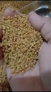 Biji Klabet Murni Utuh 500 Gram - Fenugreek Seeds