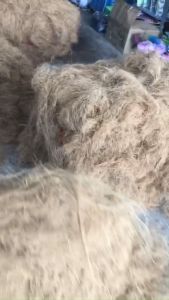 combo 5kgxơ dừa sợi loại 1 sạch xơ dừa chỉ giữ ẩmtrồng lanphủ gốc cây