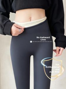 YAYANGREN | Warm Fleece Sharkskin Pants for Women Autumn Winter Thick Cotton Pants High Waist Tummy Control Yoga Leggings