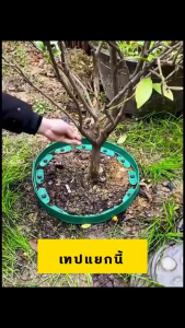 รขอบกันดิน ขอบกั้นดิน 5/10/15เมตร ( พร้อมตะปู) อบกันดินจัดสวน ขอบสนามหญ้า ใช้งานยาวนาน จัดสวน ที่กันดินไหล กันหิน