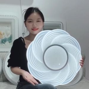 【RIDI】 Bedroom Lights Modern and Simple 2025 New Ceiling Lights Cream Wind Internet Red Romantic Starry Sky Master Bedroom Room Lamps