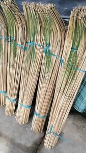 Cần Câu Cắm ( Combo 50 Cây 100 Cây )