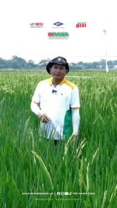 Paket BOOM Padi Max Cap Kapal Terbang