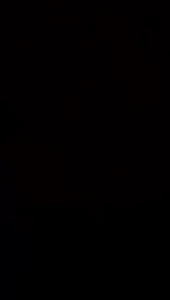 Dress Cheongsam Anak Polkadot Ruby Charm Ready Usia Anak 6 Bulan-7 Tahun Motif Lucu Free Tas