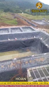 Bạt lót ao hồ 6m x 10m dày 0.5mm bảo hành 5 năm