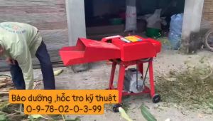 Máy băm rơm làm nấm  băm cỏ voi chăn nuôi trang trại