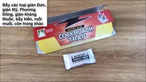 Thuốc diệt gián Cockroach - Keo bẫy gián