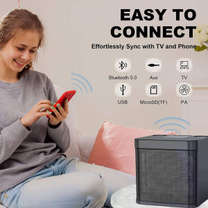 Portable Professional Karaoke Wireless Bluetooth Speaker With Dual Wireless Microphone