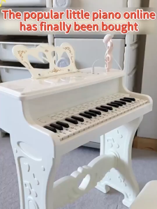 doudou Baby Electronic Piano With Chair Microphone Music Toy Classic Piano For Kids Baby Early Education