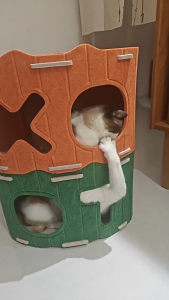 Cat Bed All-in-one Cat House with Holes Stackable Cat Castle House Corner Design Sturdy Cat Condo Four Seasons