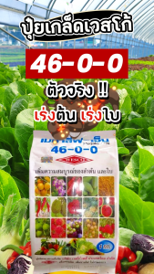 ปุ๋ยเกล็ดเวสโก้ 46-0-0 ขนาด 1 กิโลกรัม เมก้าลีฟ-เอ็น เพิ่มความสมบูรณ์ของลำต้น และใบ