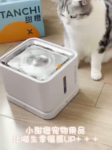 Wireless Cat Stainless Steel Water Fountain 3L Battery Operated with Water Level Window