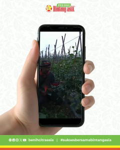 Benih Mentimun Timun KOMANDAN F1 2.5 Gram Cap Bintang Asia PT Benih Citra Asia Tahan Virus