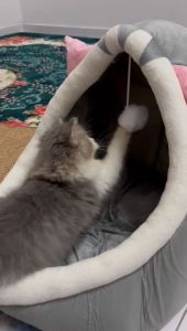 Cute Pet Sleeping Bed Ready Stock Tempat Tidur Kucing Rumah Katil Kucing Soft & Comfortable Washable 宠物窝 猫窝 狗窝