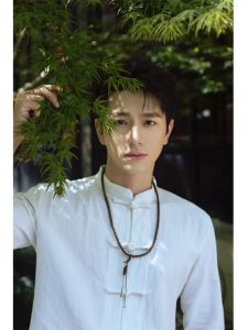 Traditional Chinese Style Mandarin Collar Shirt Long Sleeve White Cotton