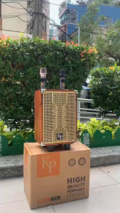 Loa Kéo di động KP- P09 Bass 20cm - 9 Nút Chỉnh Hát Karaoke Bluetooth Đa Năng Giải Trí Di Động Nghe Nhạc.