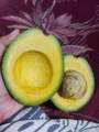 Buah Alpukat - Alpukat Mentega - Alpukat Mentega Jumbo. 