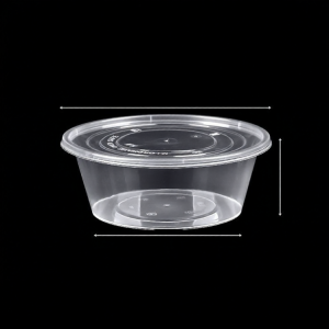 Disposable Commercial Food-Grade Takeaway Box with Lid