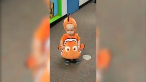 Kostum Karakter Ikan Nemo Baju Animal 3D Lucu