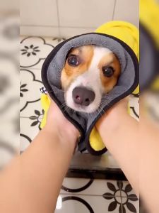 Dog Towel thicken Super Absorbent Pet Bath Towel Microfiber Cat Puppy Towel Bath Cleaning Towel