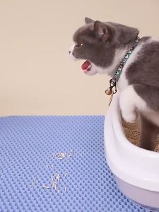 Thảm lót khay vệ sinh cho Mèo chống văng cát 2 lớp bằng chất liệu nhựa EVA dày (mẫu mới) - Hara Pet Store