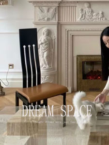Retro Designer High Back Dining Chair