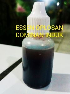 Essen oplosan induk babon ikan mas
