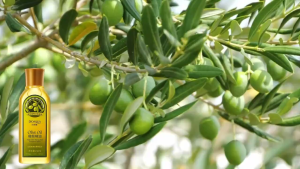 【Buy 1 Take 1】Natural Organic Pure Olive Oil For Face Body Hair Skin Care Reduces Signs Of Aging Natural Body Oil For Men And Women Balances Water And Oil In The Skin Cuticle And Nail Care Whitening Hydrating Oil Control 150ml