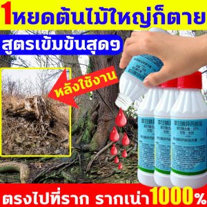 1 หยดรากเน่า ยาฆ่าต้นไม้ใหญ่ เข้มข้นสุดๆ 200ml 1 ขวดเท่ากับ 50 ขวด ยาฆ่าต้นไม้ ตรงไปที่ราก รากเน่า รากตาย บอกลากการตัดต้นไม้ด้วยตนเอง ยาฆ่าตอไม้ใหญ่ ไม่เป็นอันตรายต่อดิน ยากำจัดต้นไม้ ยาฆ่าไผ่ ยากำจัดต้นไม้ สารกำจัดกอไผ่ สารกำจัดต้นไม้