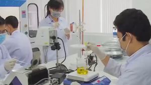 Tinh Dầu Cam Ngọt Nguyên Chất Thiên Nhiên 100% Lọ 10ml Tinh Dầu Cam Ngọt Thơm Phòng Nguyên Chất Giúp Đuổi Muỗi Khử Mùi