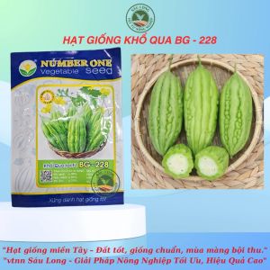 hạt giống Khổ Qua ngắn BG 228 | NUMBERONE siêu năng suất