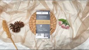 [50 Pcs] Undangan Pernikahan Wedding Passport Elegant Aesthetic - Kartu Undangan Pernikahan WP
