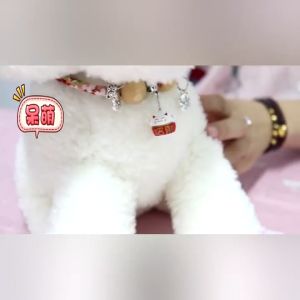 ไม้การบูรปลอกคอป้องกันหมัด 200 ราคาที่สุด สำหรับผู้ที่ต้องการป้องกันหมด การฝึกฝนสำหรับเกิดความลื่นและลึก ความน่าเชื่อถือ ที่น่ารักสไตล์ ไม่มีกลิ่น ให้คุณเสมอที่ดี