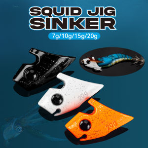 Kingdom Squid Jig Sinker Fishing Tackle 7g 10g 15g 20g Sinking Luminous EGI Sinker Octopus Cuttlefish Fishing Accessories 2pc