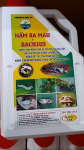 NẤM 3 MÀU BACILLUS Vi Nấm ký Sinh Trừ Rệp Sáp Sâu Rầy Nhện Đỏ Sinh Học - 2 Lít