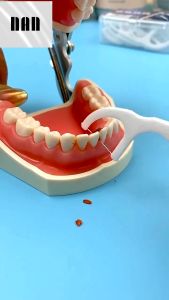 FIIO 50pcs/set Tooth pick sticks Dental floss sticks Teeth cleaning Oral care