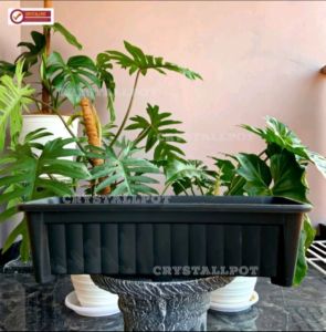 POT BUNGA TANAMAN PANJANG PJG 55 HIGH WAY HITAM PANJANG 50CM - PJG 55 HITAM