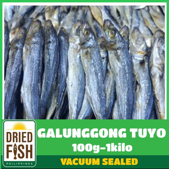 DFP Dried Seafood Galunggong Tuyo 100g, 250g, 500g, 1kilo Dried Seafood