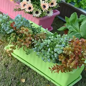 กระถางต้นไม้ 43×19×15CM พลาสติก กระถางทรงยาวมีถาดรอง สำหรับปลูกผัก รางยาวสี่เหลี่ยม