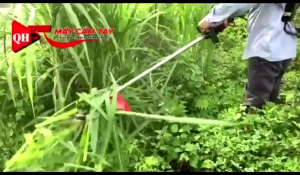 Cước cắt cỏ vuông có răng cưa cao cấp 3.5mm- 4mm nhật bản-giá 1m