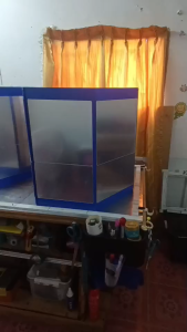 กระจกหกเหลี่ยมวิ่งไก่ รุ่นสีพิเศษเงินทอง 30*40cm. ชุดแกะกล่องพร้อมใช้งานทันที