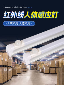 Infrared Human Body Sensor Lamp Tube Warehouse Bathroom Corridor Aisle Corridor Led Daylight T8 Plug-in Smart Light Bar